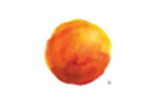 GCC Ophthalmic Drugs Devices Market key player