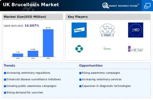 UK Brucellosis Market Infographic