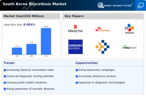 South Korea Brucellosis Market Infographic