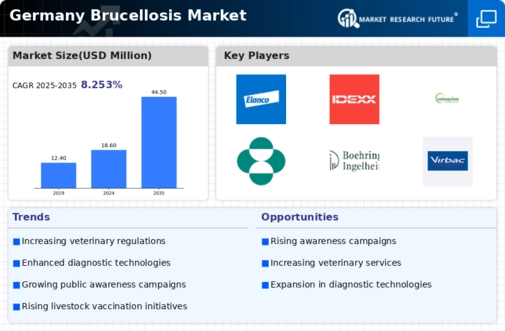 Germany Brucellosis Market Infographic