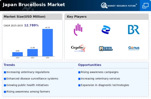 Japan Brucellosis Market Infographic