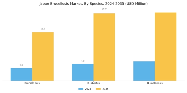 Japan Brucellosis Market Segment Image 0