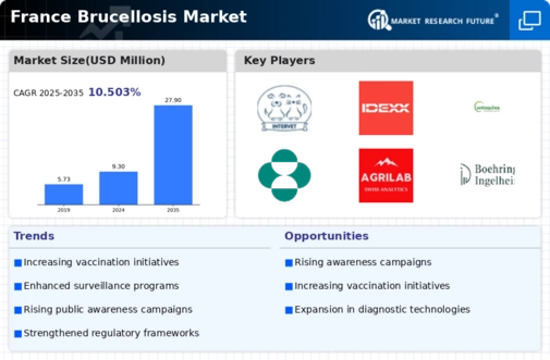France Brucellosis Market Infographic