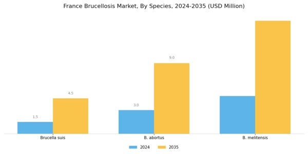 France Brucellosis Market Segment Image 0