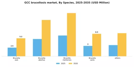 GCC Brucellosis Market Segment Image 2