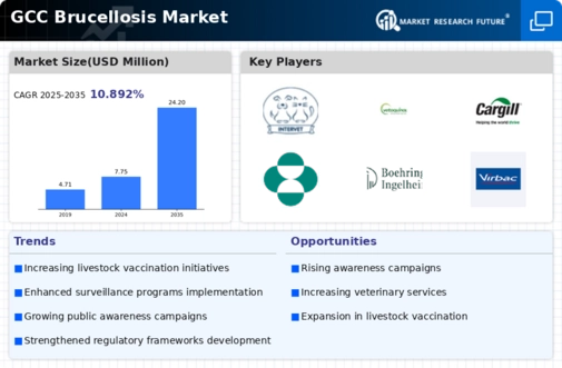 GCC Brucellosis Market Infographic
