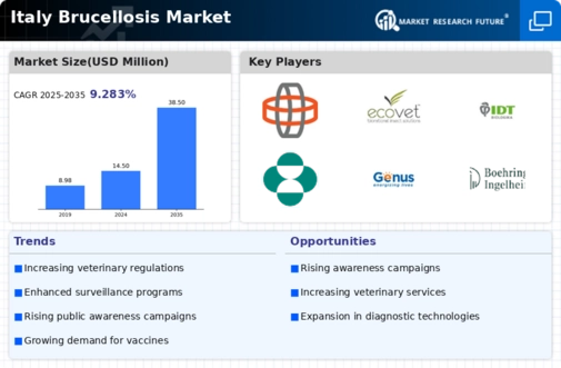 Italy Brucellosis Market Infographic