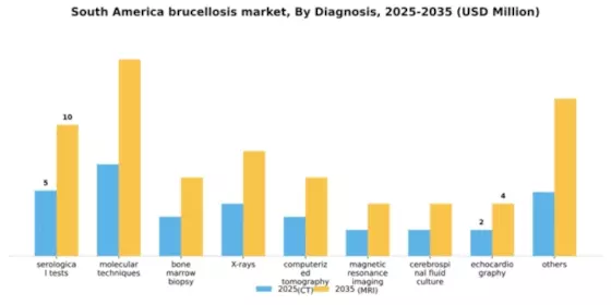 South America Brucellosis Market Segment Image 0