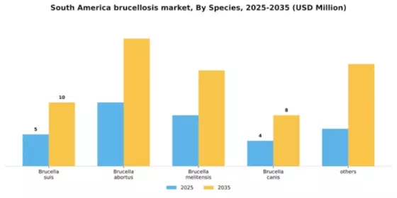 South America Brucellosis Market Segment Image 2
