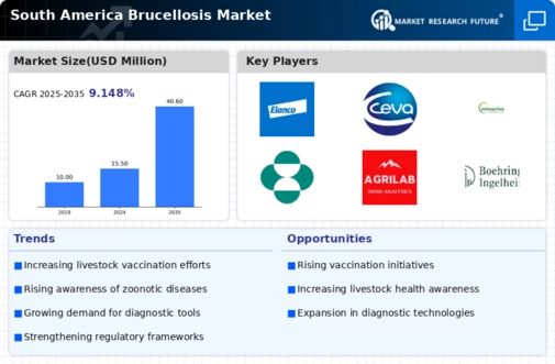 South America Brucellosis Market Infographic