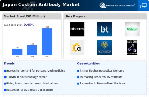 Japan Custom Antibody Market Infographic
