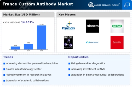 France Custom Antibody Market Infographic