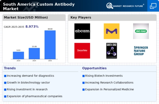 South America Custom Antibody Market Infographic