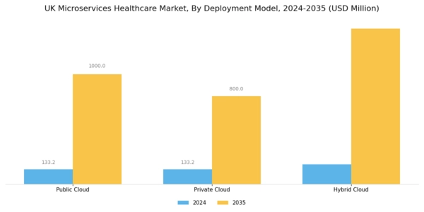 UK Microservices Healthcare Market Segment Image 1