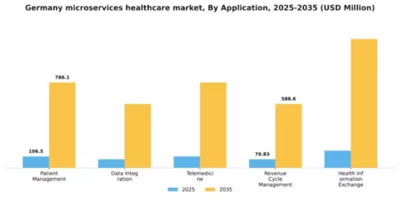 Germany Microservices Healthcare Market Segment Image 0