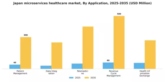 Japan Microservices Healthcare Market Segment Image 0