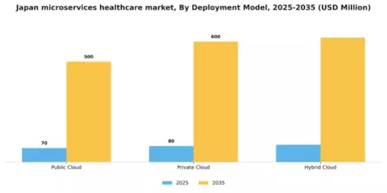 Japan Microservices Healthcare Market Segment Image 1