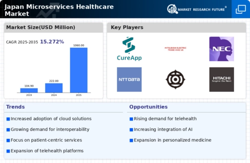 Japan Microservices Healthcare Market Infographic