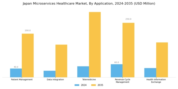 Japan Microservices Healthcare Market Segment Image 0