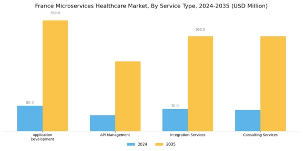 France Microservices Healthcare Market Segment Image 2