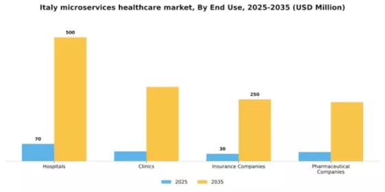 Italy Microservices Healthcare Market Segment Image 2