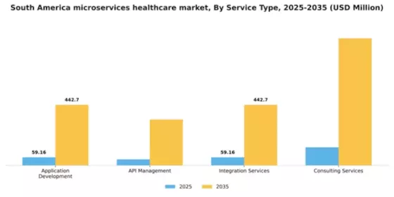 South America Microservices Healthcare Market Segment Image 3