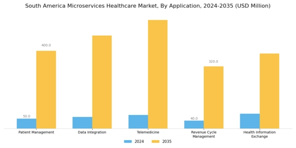 South America Microservices Healthcare Market Segment Image 0