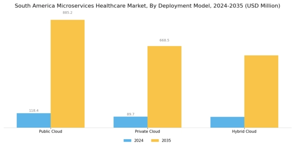 South America Microservices Healthcare Market Segment Image 1