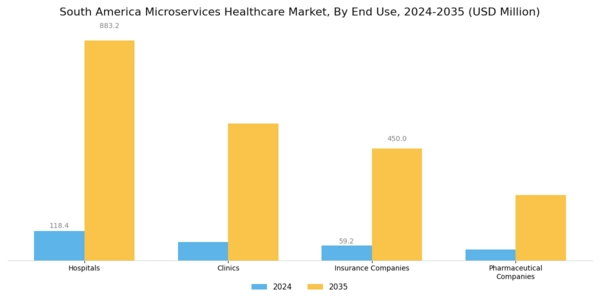 South America Microservices Healthcare Market Segment Image 3