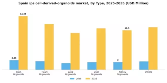 Spain iPS Cell Derived Organoids Market Segment Image 2