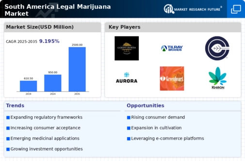 South America Legal Marijuana Market Infographic