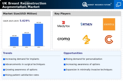 UK Breast Reconstruction Augmentation Market Infographic