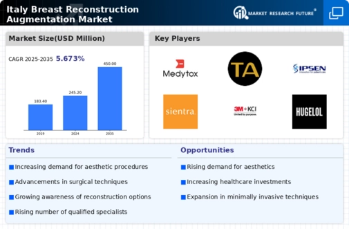 Italy Breast Reconstruction Augmentation Market Infographic