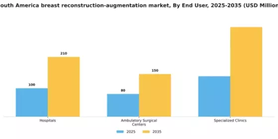 South America Breast Reconstruction Augmentation Market Segment Image 0