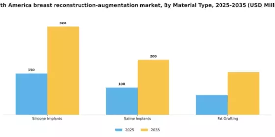South America Breast Reconstruction Augmentation Market Segment Image 1