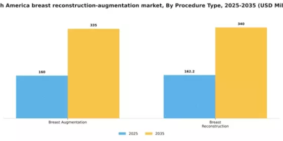 South America Breast Reconstruction Augmentation Market Segment Image 2