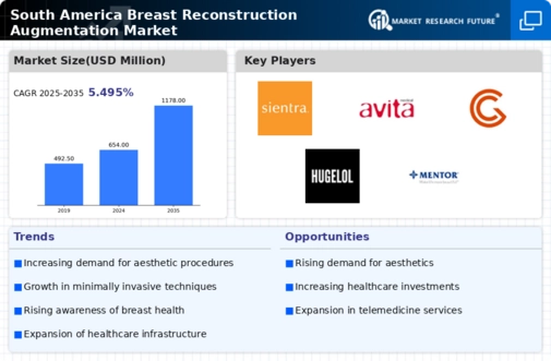 South America Breast Reconstruction Augmentation Market Infographic