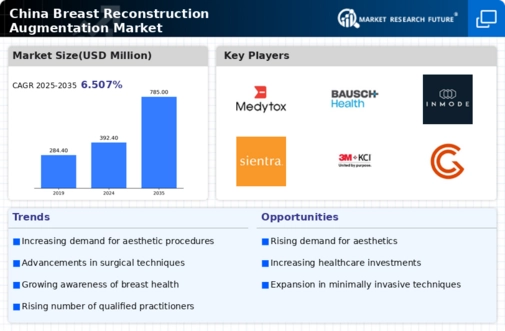 China Breast Reconstruction Augmentation Market Infographic