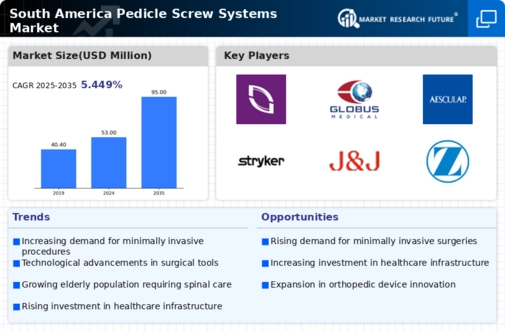 South America Pedicle Screw Systems Market Infographic