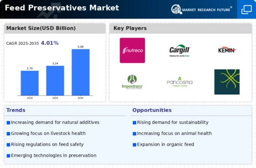 Feed Preservatives Market Infographic
