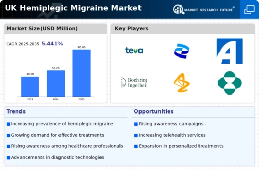 UK Hemiplegic Migraine Market Infographic