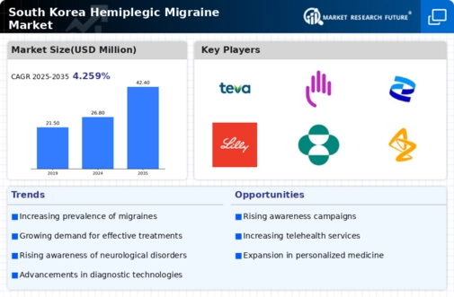 South Korea Hemiplegic Migraine Market Infographic South Korea Hemiplegic Migraine Market Infographic
