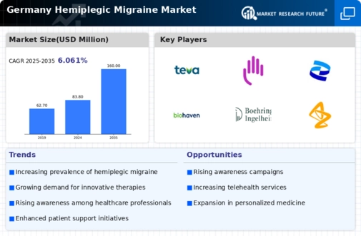 Germany Hemiplegic Migraine Market Infographic