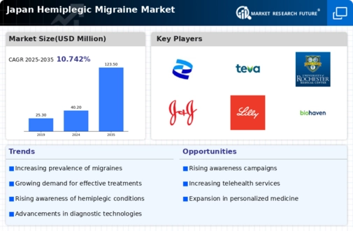 Japan Hemiplegic Migraine Market Infographic