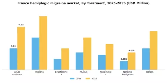 France Hemiplegic Migraine Market Segment Image 3