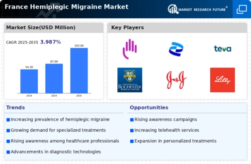 France Hemiplegic Migraine Market Infographic