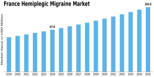 France Hemiplegic Migraine Market Size