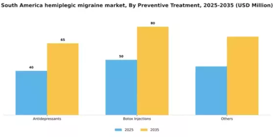 South America Hemiplegic Migraine Market Segment Image 2