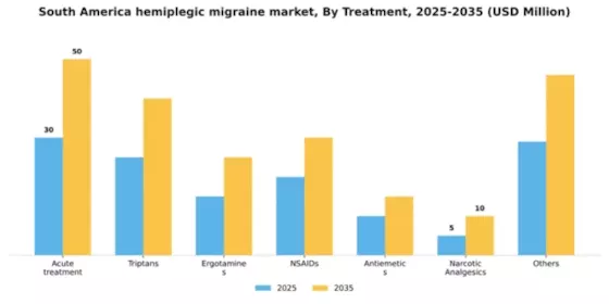 South America Hemiplegic Migraine Market Segment Image 3
