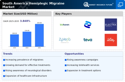 South America Hemiplegic Migraine Market Infographic